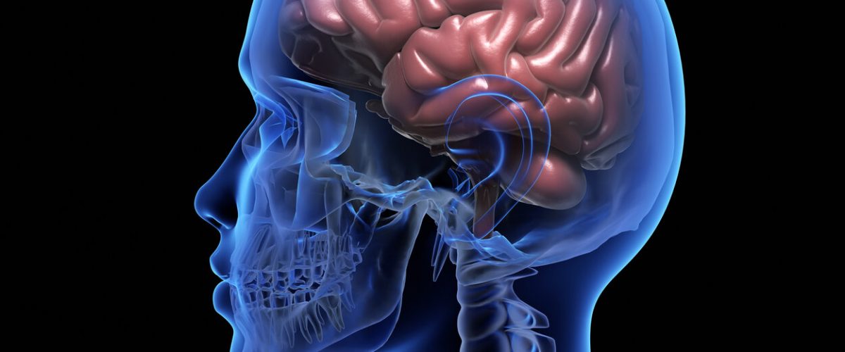 Human brain over black background. 3D illustration