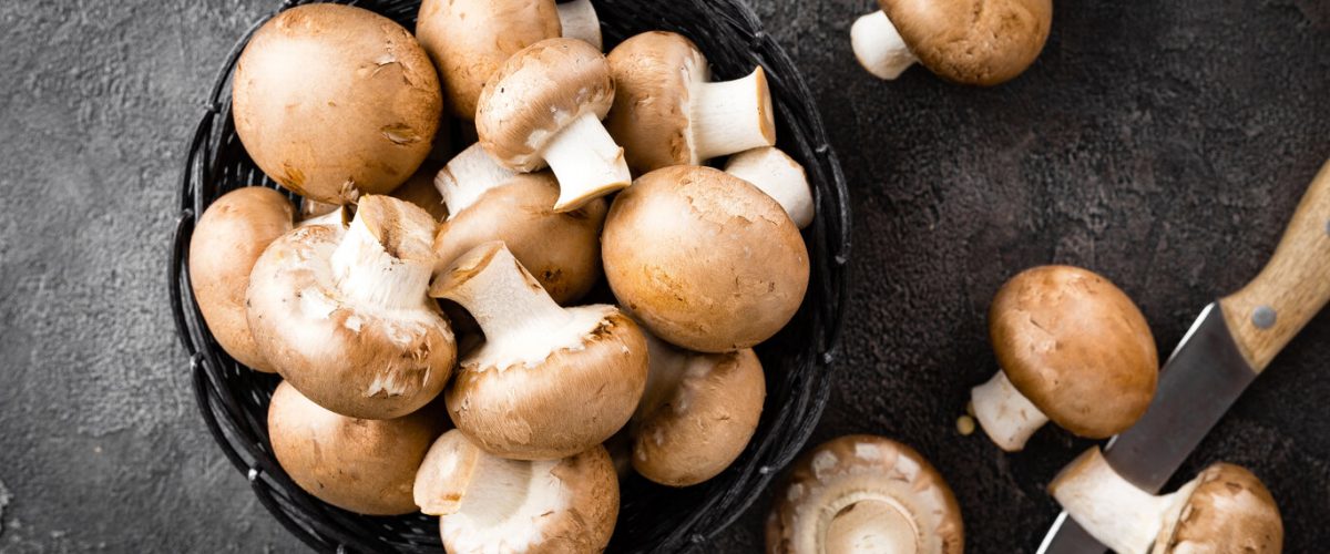 Mushrooms. Fresh mushrooms in basket